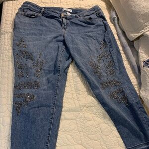 Lane Bryant Denim Jeans Super Stretch Skinny Bling Beaded
